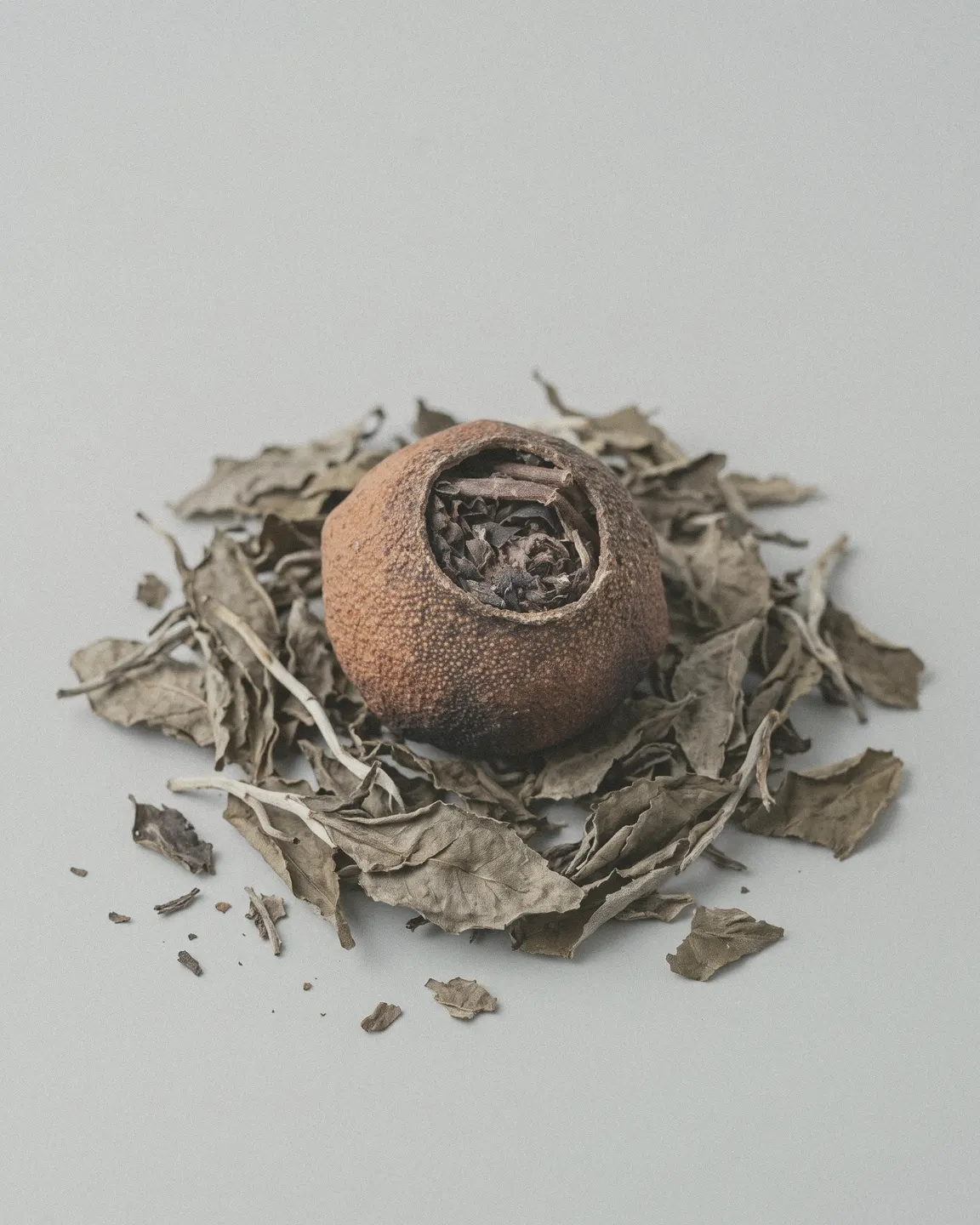 One opened tangerine piece resting in a loose nest of pale, dried white tea leaves on a light grey ground.
